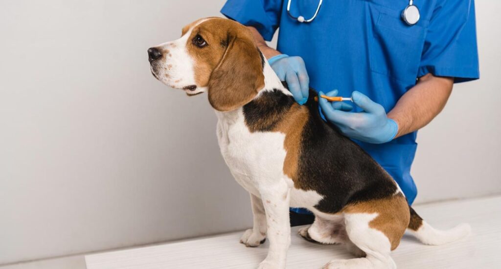 Nutritional Counseling