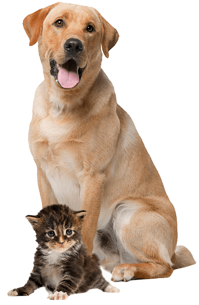 Emergency & Urgent Care