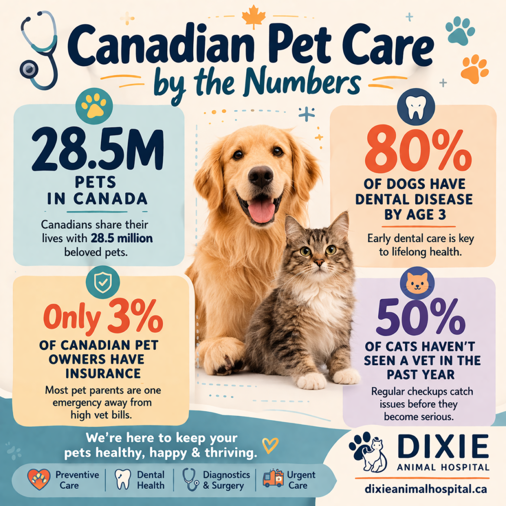 How to Choose a Trusted Vet Clinic in Mississauga: A Local Pet Owner's Guide 3 How to Choose a Trusted Vet Clinic in Mississauga: A Local Pet Owner's Guide