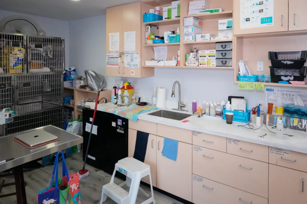 New Patient Center